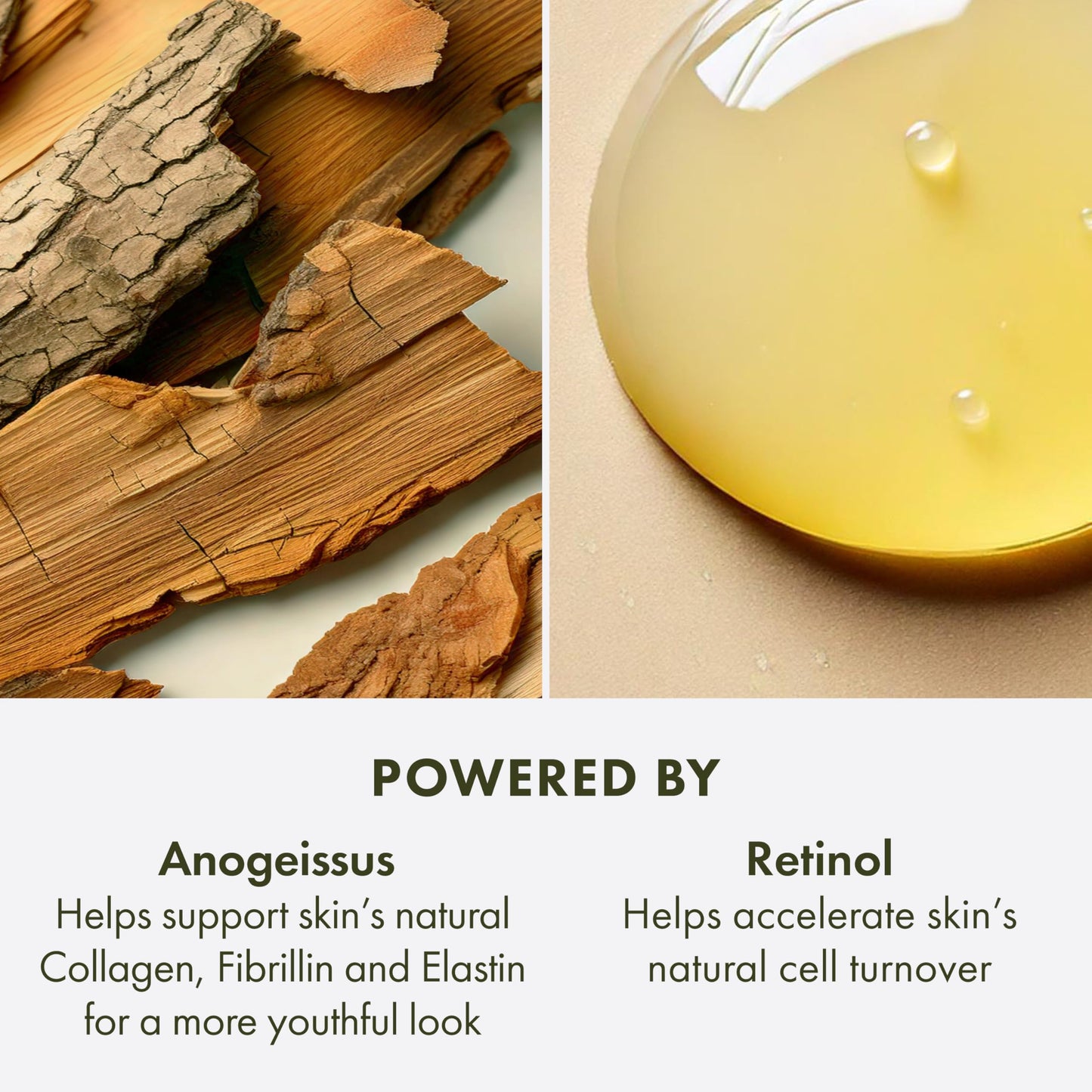 Origins Plantscription Retinol Night Moisturizer | Visibly Diminishes Lines, Pores & Uneven Skin Tone | With Peptide & Retinol, 1 Fl Oz Beauty & Personal Care Origins