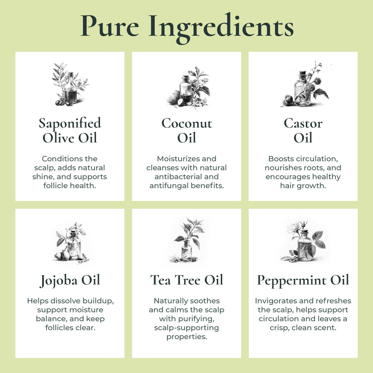 J.R.LIGGETT'S All-Natural Shampoo Bar, Supports Strong & Healthy Hair (Tea Tree, Jojoba & Peppermint, Coconut & Argan Oil, 3-Pack)