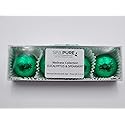 SPAPURE Wellness Collection Eucalyptus Spearmint - (4-Pack) Aromatherapy Fizzing Shower Bombs by Spa Pure Beauty & Personal Care Spa Pure