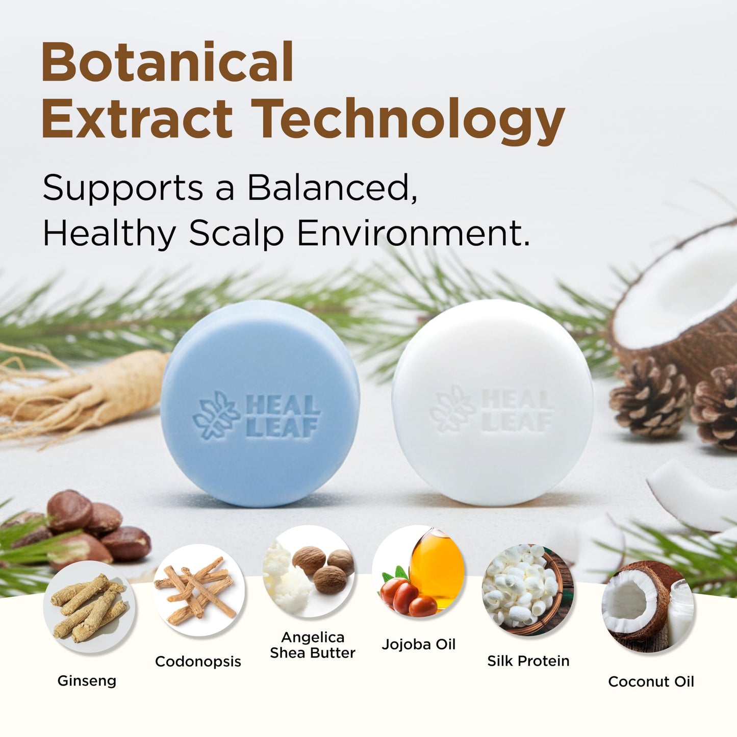 HEAL LEAF Solid Shampoo and Conditioner Bar Set - Botanical Hair & Scalp Care - Plant Extracts Complex, Natural pH - Eco-Friendly Travel Essential Beauty & Personal Care HEAL LEAF