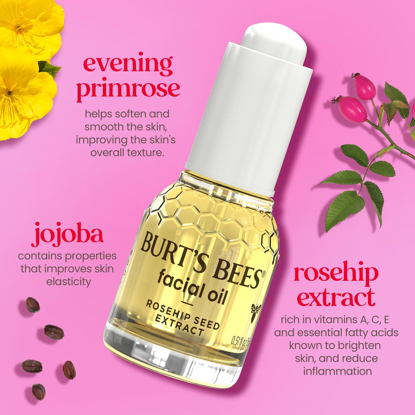 Burt's Bees Gua Sha Face Oil With Rosehip Seed Extract, Reduces Appearance of Fine Lines and Wrinkles, Use with Ice Roller & Facial Tools, Natural Beauty & Personal Care Burt's Bees