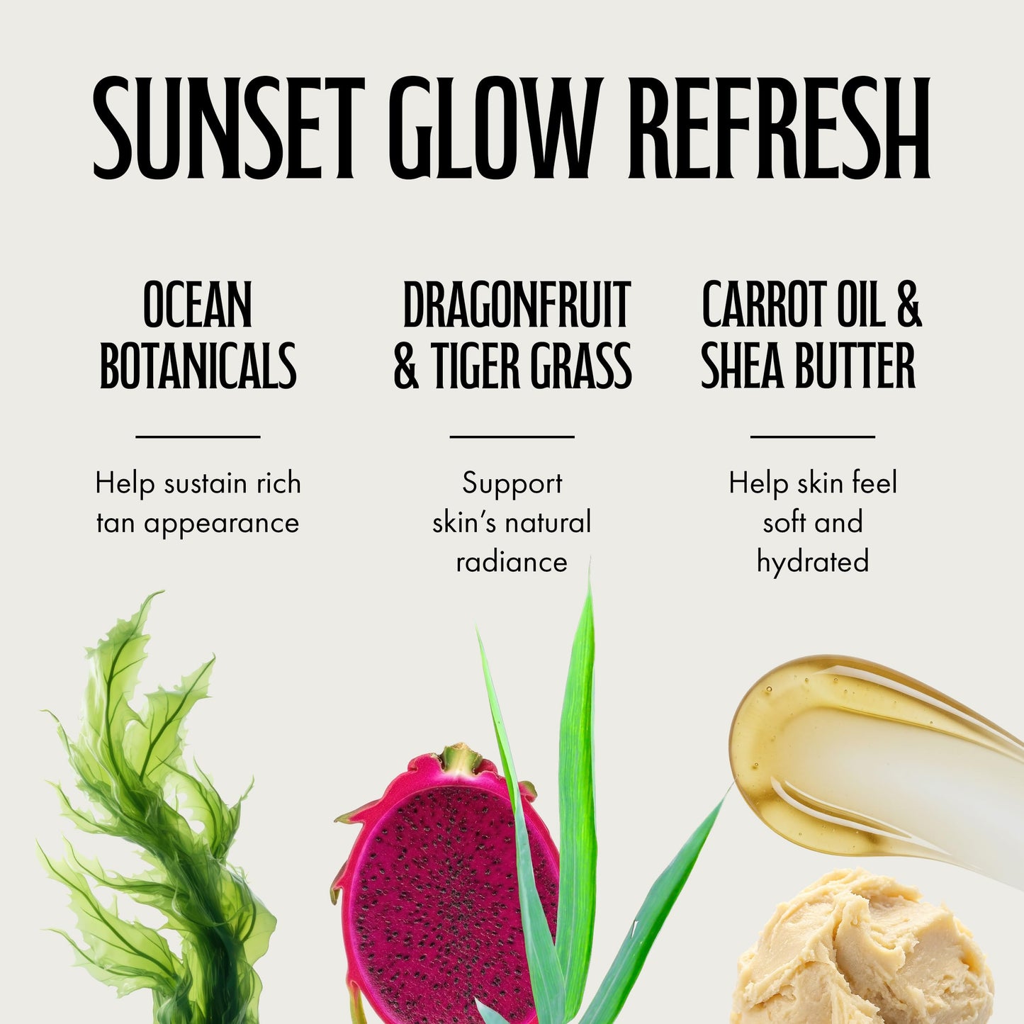 Brown Sugar After Dark Sunset Spritz Tan Extender & Tattoo Enhancer, Dragon Fruit with Biotanning Carrot Oil & Shea Butter, 18 Fl Oz Beauty & Personal Care Brown Sugar