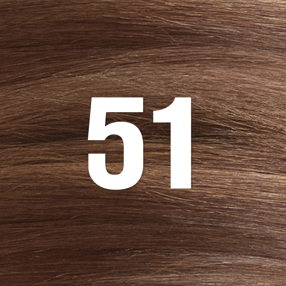 Revlon ColorSilk with Bond Repair Complex, Brown Permanent Hair Color, 100% Gray Coverage, Ammonia Free Hair Dye, Vegan Keratin, 51 Light Brown (Pack Beauty & Personal Care REVLON