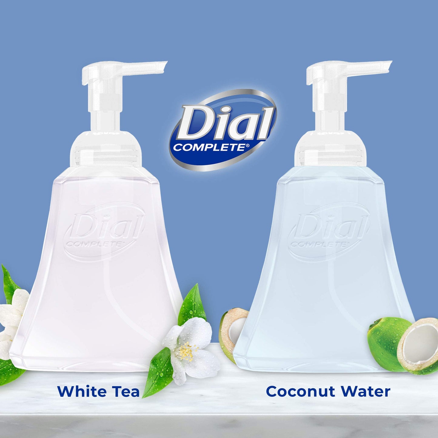 Dial Complete Antibacterial Foaming Hand Wash, Coconut Water/Soothing White Tea, 15 fl oz (Pack of 4) Beauty & Personal Care Dial