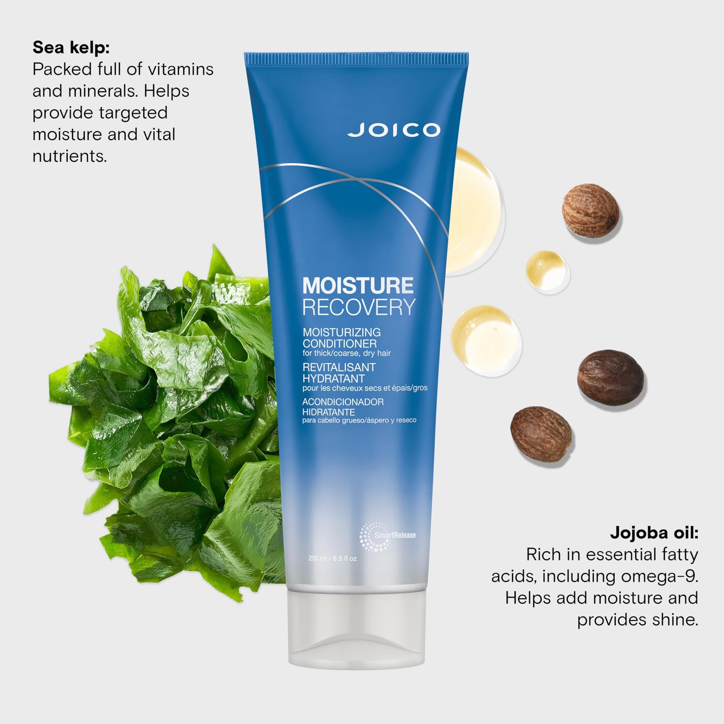 Joico Moisture Recovery Moisturizing Conditioner | For Thick, Coarse, Dry Hair | Restore Moisture, Smoothness, Strength, & Elasticity | Reduce Beauty & Personal Care Joico