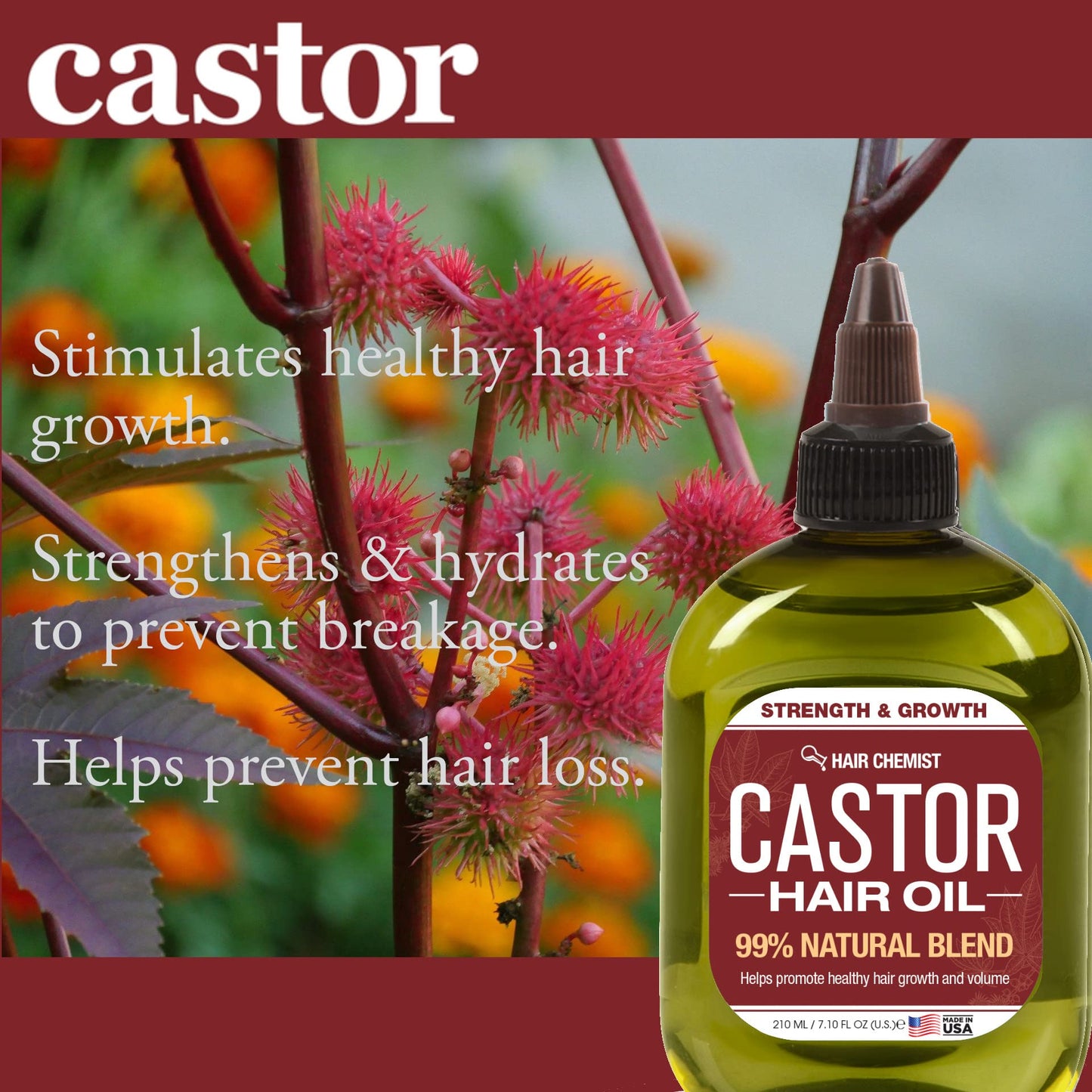 Hair Chemist Castor Oil 7.1 oz - Strengthening & Growth Stimulator for Hair Growth Beauty & Personal Care Hair Chemist
