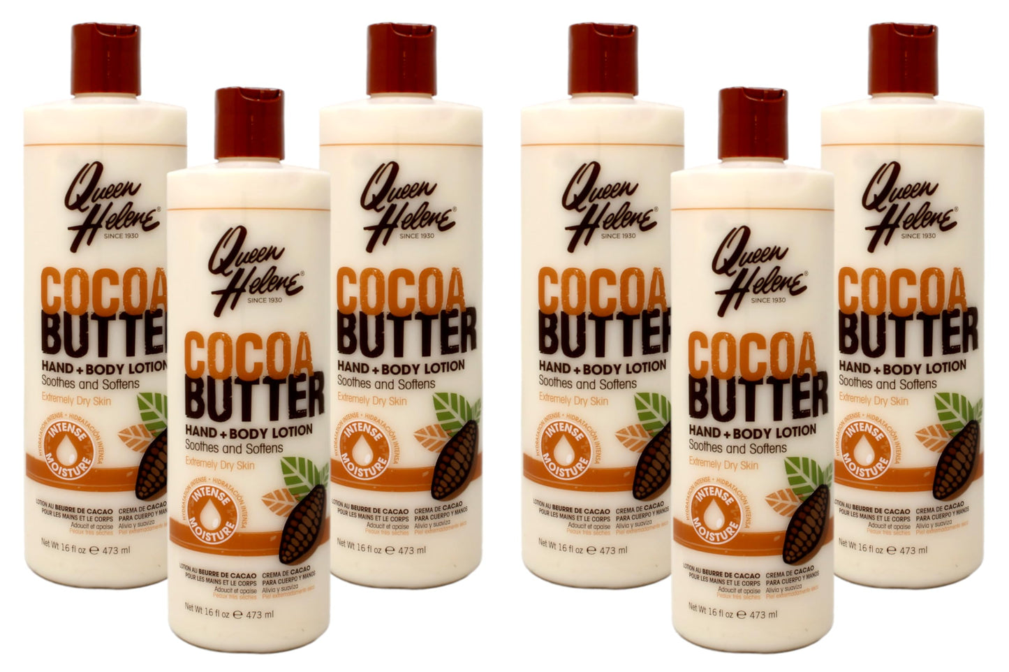 QUEEN HELENE Cocoa Butter Hand & Body Lotion 16 oz (Pack of 6) Beauty & Personal Care Queen Helene