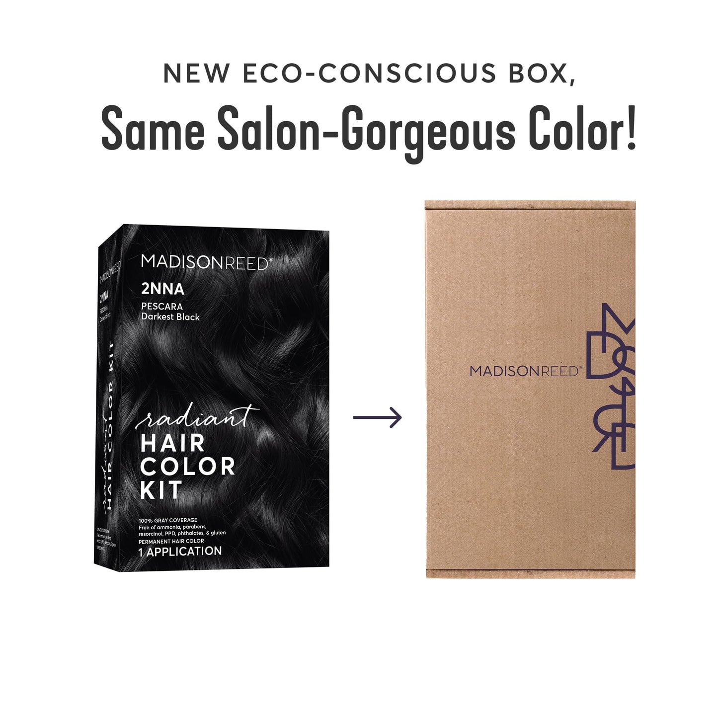 Madison Reed Radiant Hair Color Kit - 2NNA Darkest Cool Black with Ash Undertones (Pescara Black), Dimensional Gray Hair Blending Permanent Hair Dye Beauty & Personal Care Madison Reed