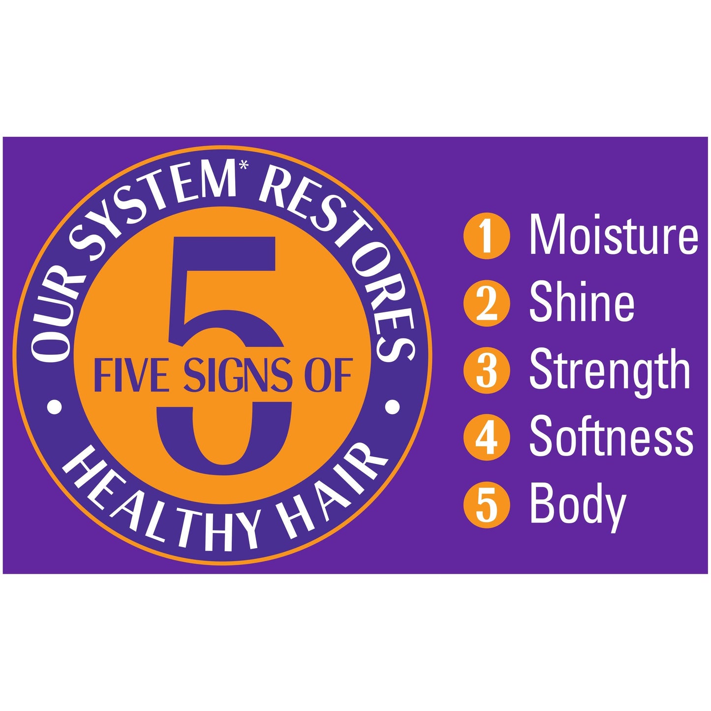 SoftSheen-Carson Dark and Lovely Healthy-Gloss 5 Moisture Leave In Treatment, 8.5 fl oz Beauty & Personal Care SoftSheen