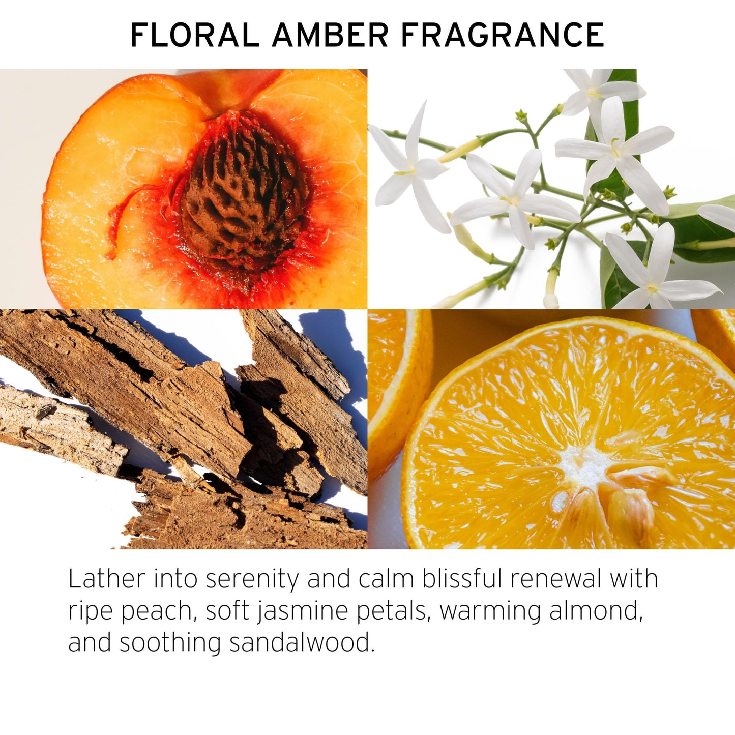 Fekkai Super Strength+ Protein PowerBond Shampoo (2 oz) + Conditioner (2 oz) - Bonds, Repairs, and Protects for 3X Stronger Hair - Free of Sulfates Beauty & Personal Care Fekkai