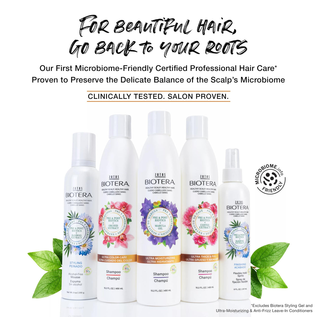 Biotera Anti Frizz Smoothing Conditioner | Frizzy or Unruly Hair | Microbiome Friendly | Vegan & Animal Test Free | Paraben Free | Color-Safe | 32 Fl Beauty & Personal Care Biotera