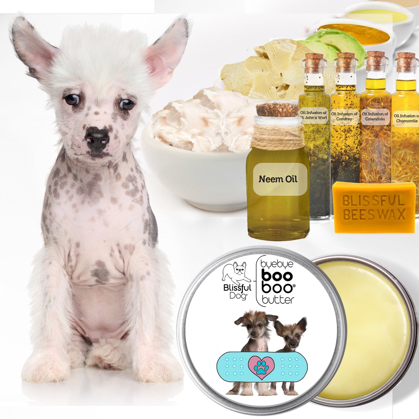 The Blissful Dog Chinese Crested Boo Butter, 4 oz Beauty and Personal Care The Blissful Dog