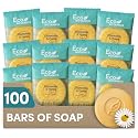 Eco Botanics Travel Size Hotel Toiletry Set 100 Count 0.85 oz Bottles Guest Amenities for Vacation Rentals and Short Term Rentals Paraben Free White Beauty & Personal Care Eco Botanics
