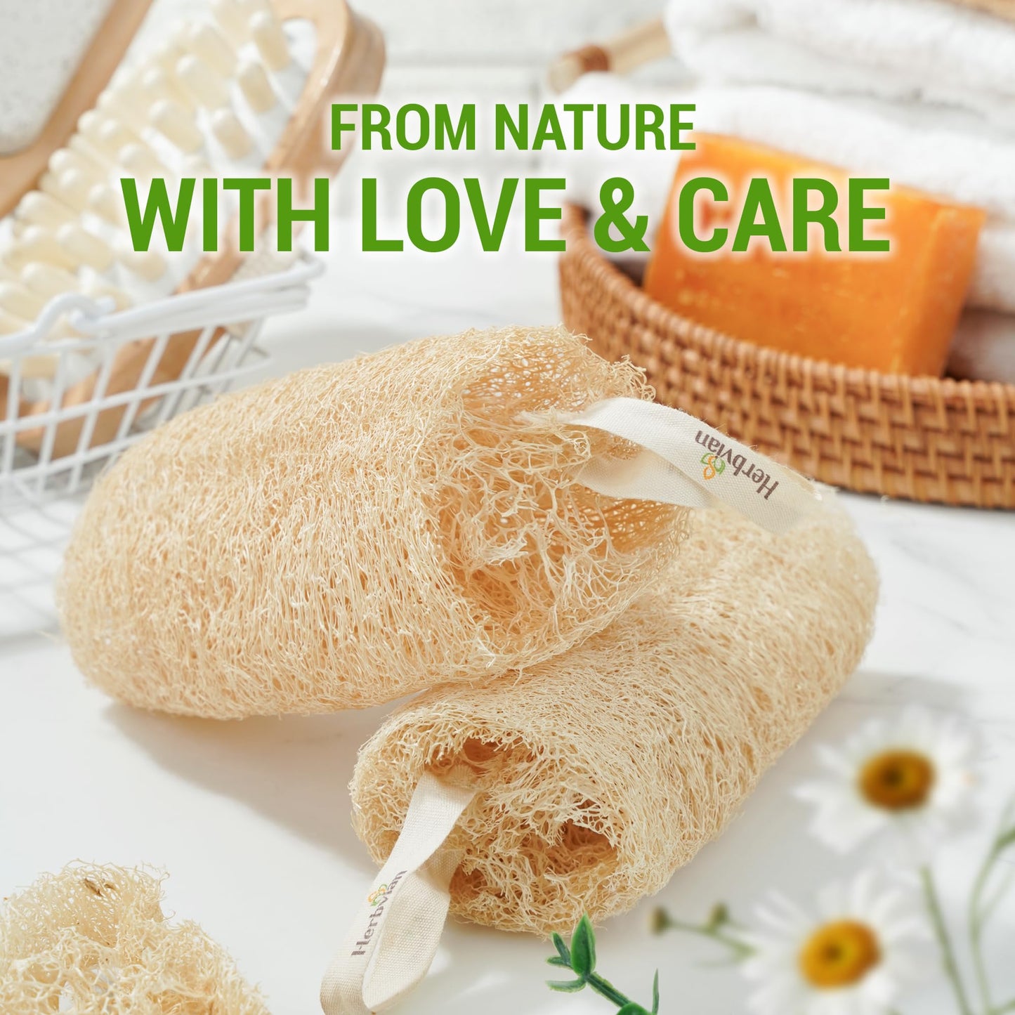 Natural Vietnamese Loofah Sponge, 100% Plant-Based Luffa Exfoliating Body Scrubber for Shower, Multi-Functional for Kitchen, Ideal for Men & Women Beauty and Personal Care Herbvian