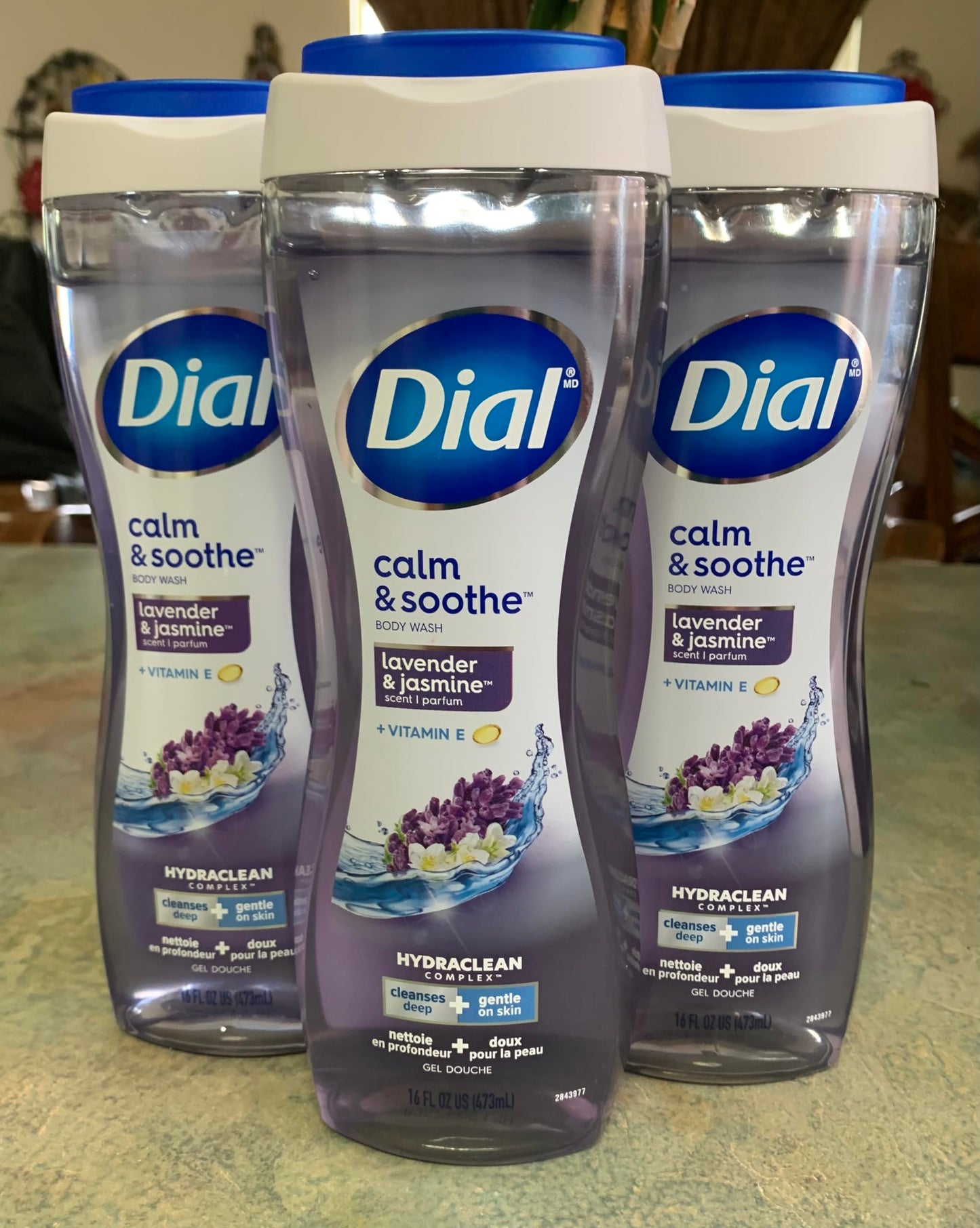 Dial for Men Body Wash, Odor Armor, 16 Ounce (Pack of 3) Beauty & Personal Care Dial