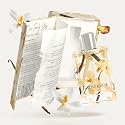 Kumbra With Love Cedar Crème Eau de Parfum 100ML - Woody Perfume for Unisex - Long-Lasting Scent with Vanilla, Papyrus, Amber & Sandalwood - Vegan Beauty & Personal Care Kumbra With Love
