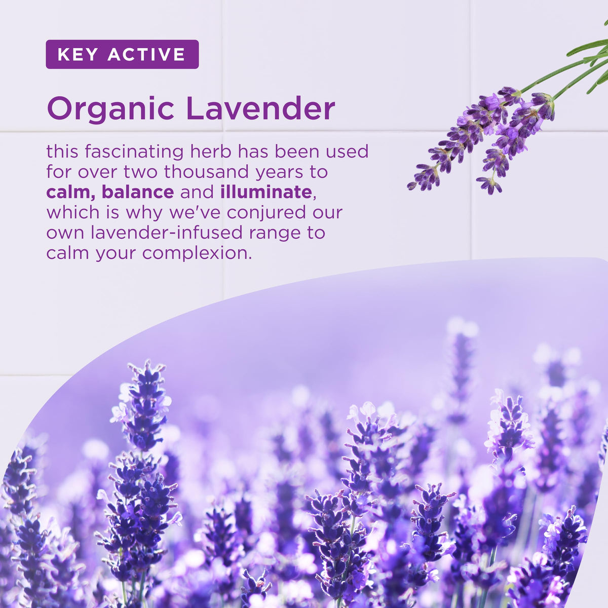 Dr Organic Lavender Deodorant Beauty and Personal Care Dr. Organic