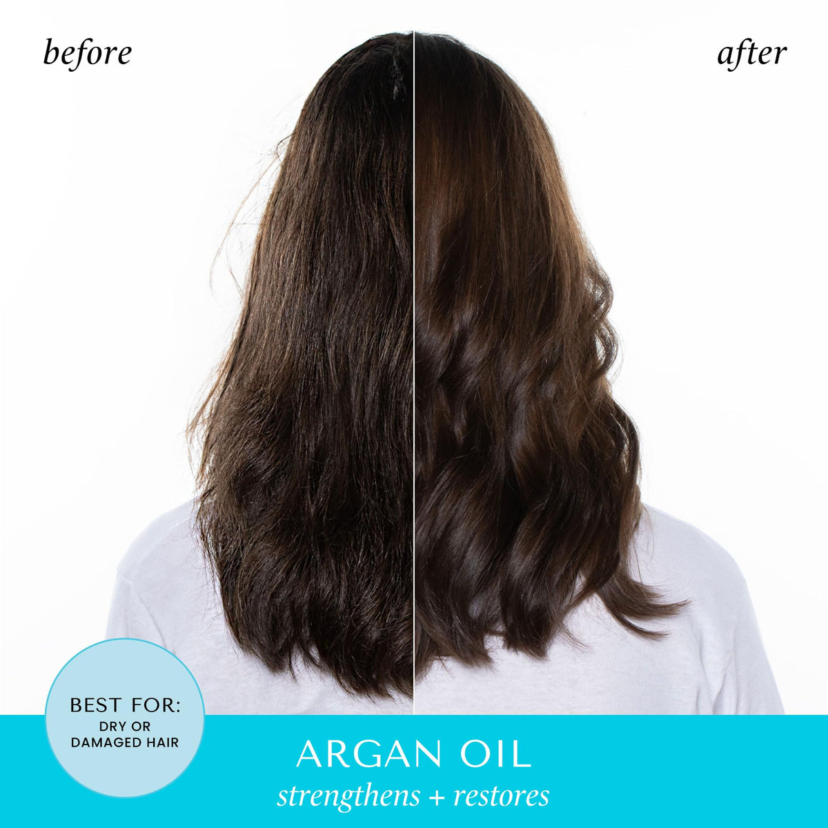 HASK Argan Oil Repairing Conditioner, 12 Fl Oz