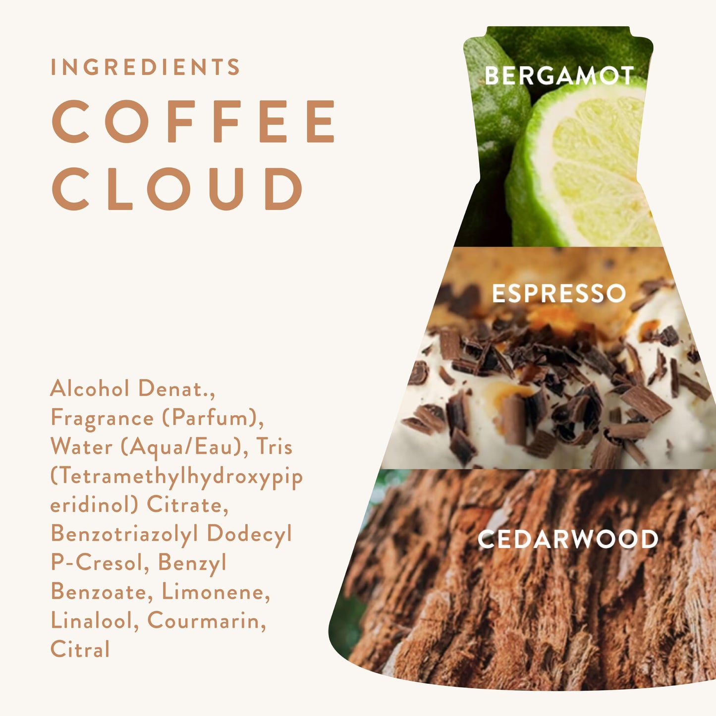 Good Chemistry Coffee Cloud Eau de Parfum 1.7 fl oz - Long-Lasting Perfume with Bergamot, Espresso, & Cedarwood - Balanced, Clean & Vegan Beauty & Personal Care Good Chemistry