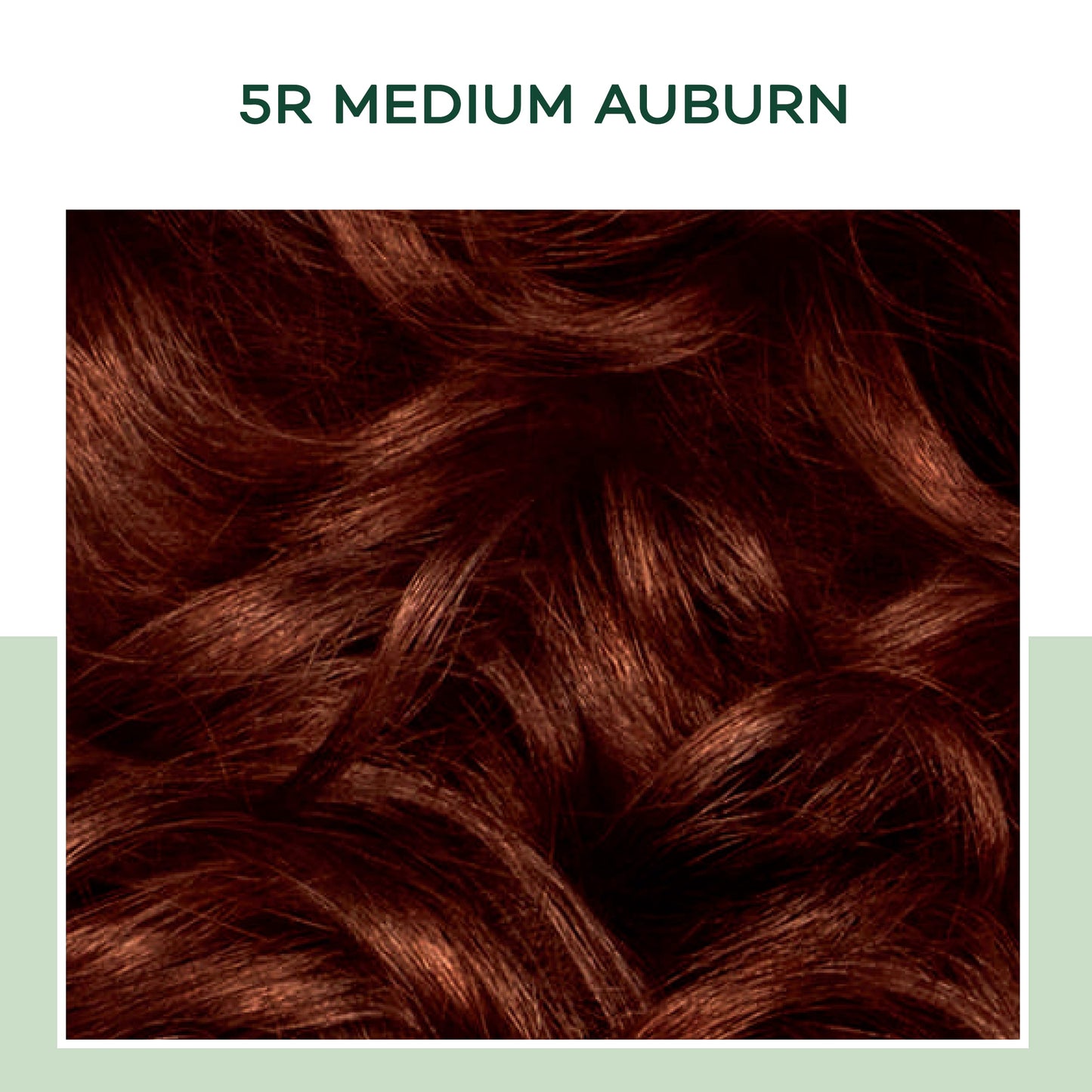 Clairol Natural Instincts Hair Color, [5R] Medium Auburn 1 Each Beauty & Personal Care Clairol