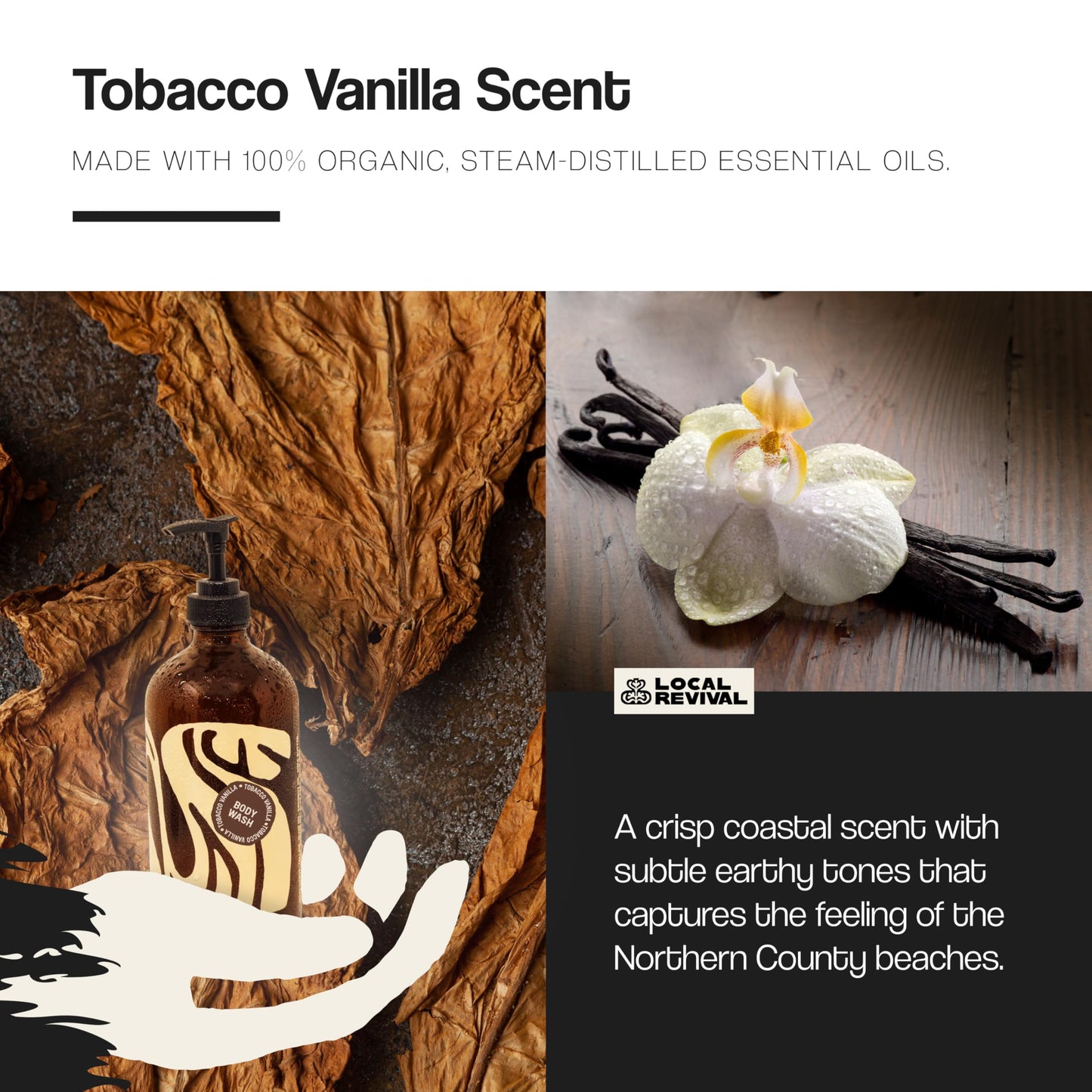 Local Revival Tallow and Honey Body Wash - Tobacco Vanilla - Beef Tallow with Honey, Olive Oil, Shea Butter and Jojoba Oil - Moisturizing Body Wash Beauty & Personal Care Local Revival