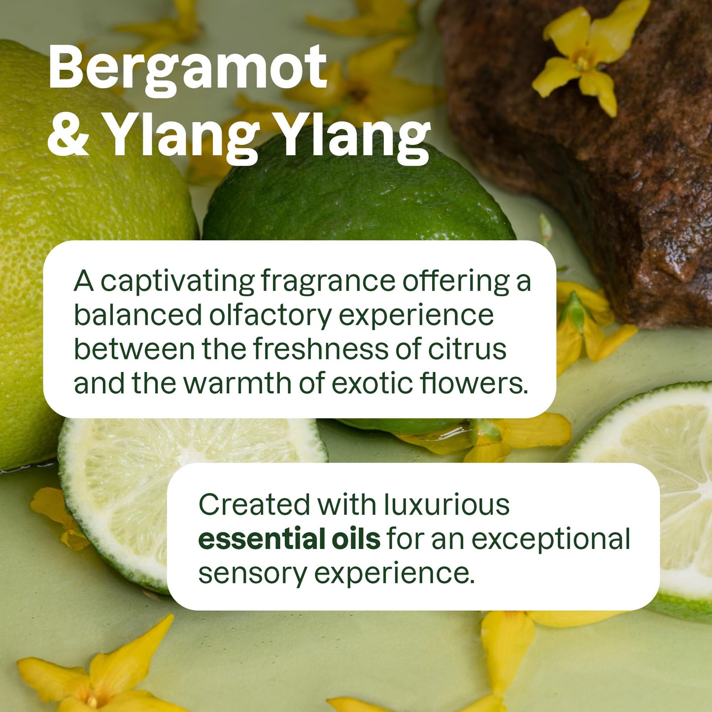 ATTITUDE Liquid Hand Soap, EWG Verified, Plant and Mineral-Based, Vegan Personal Care Products, Bergamot and Ylang Ylang, 16 Fl Oz Beauty & Personal Care BIO SPECTRA ATTITUDE