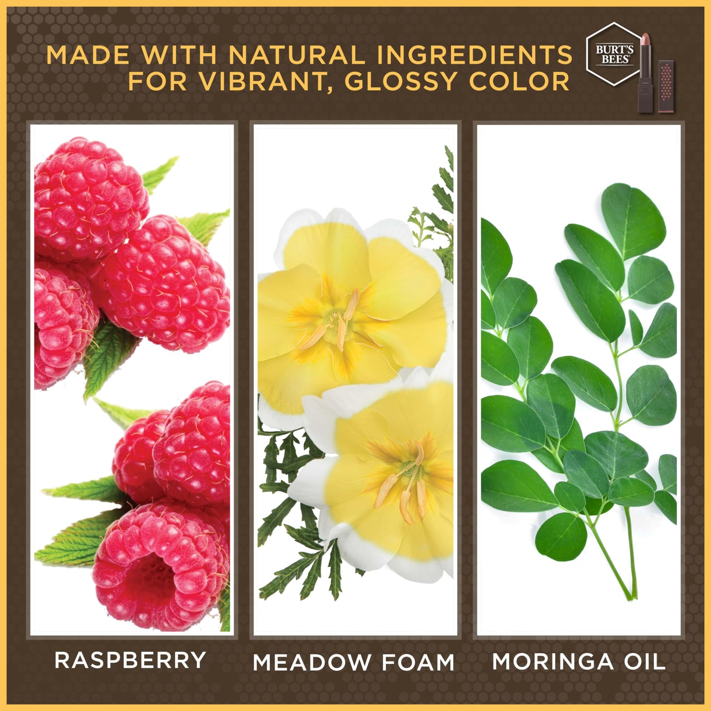 Burt's Bees 100% Natural Glossy Lipstick,Rose Falls - 1 Tube Beauty & Personal Care Burt's Bees