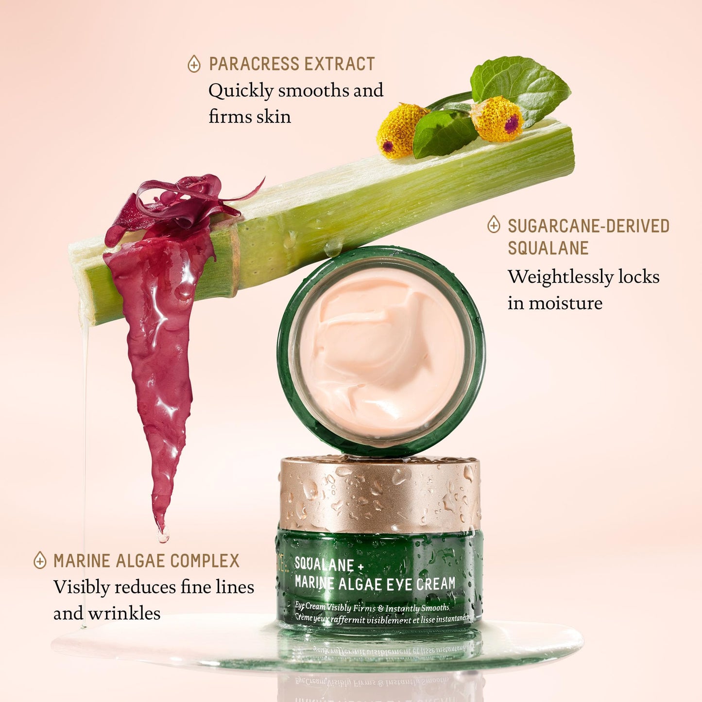 BIOSSANCE Squalane and Marine Algae Eye Cream - Anti-Aging Under Eye Cream for Fine Lines, Wrinkles, and Puffiness - Hydrating & Lifting Formula Beauty & Personal Care BIOSSANCE