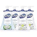 Dial Complete Antibacterial Foaming Hand Wash, Coconut Water/Soothing White Tea, 15 fl oz (Pack of 4) Beauty & Personal Care Dial