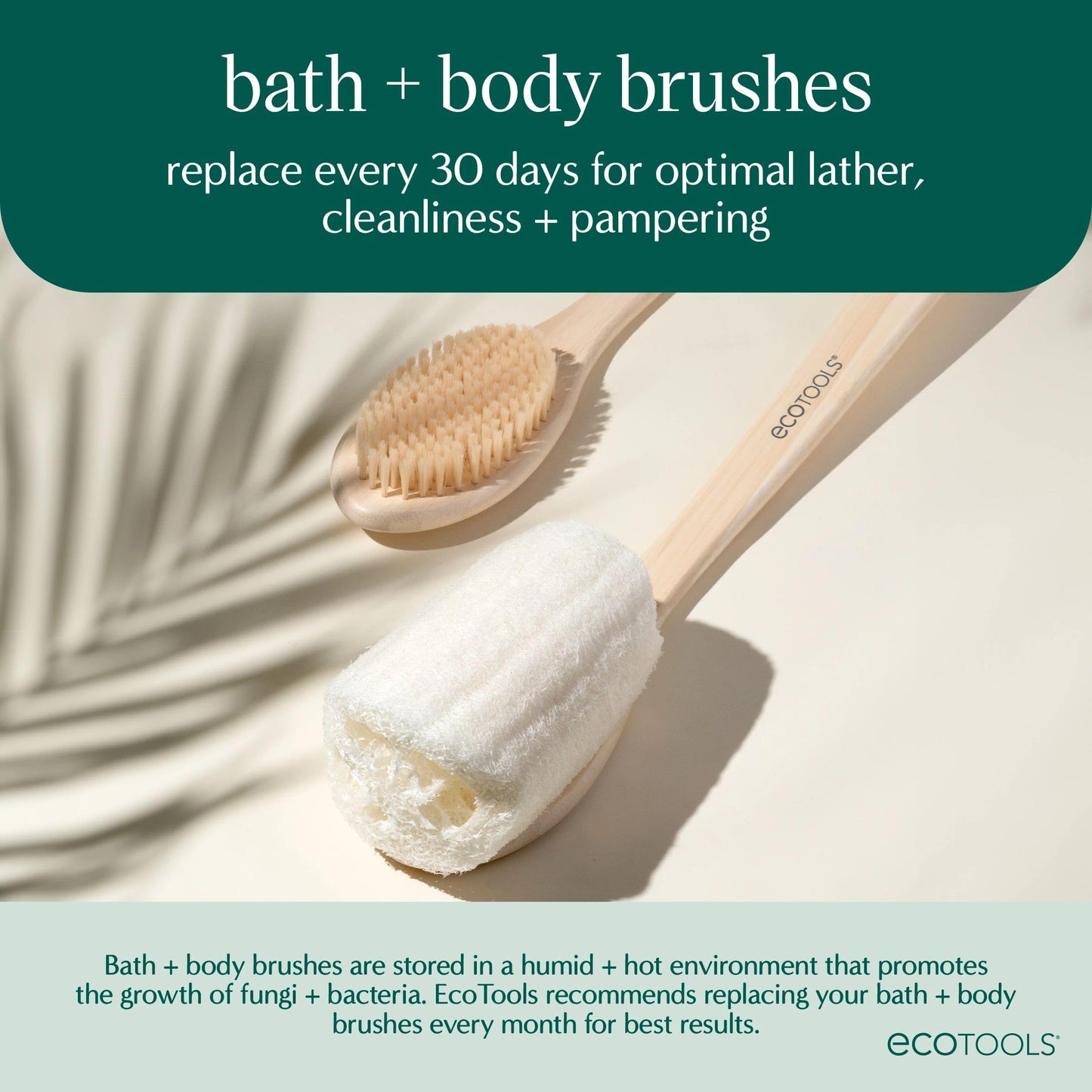 EcoTools 2-in-1 EcoPouf Bath Brush, Loofah Brush for Bath & Shower, with Long Handle & Recycled Netting for Cleansing & Exfoliating, Back Brush Beauty & Personal Care EcoTools