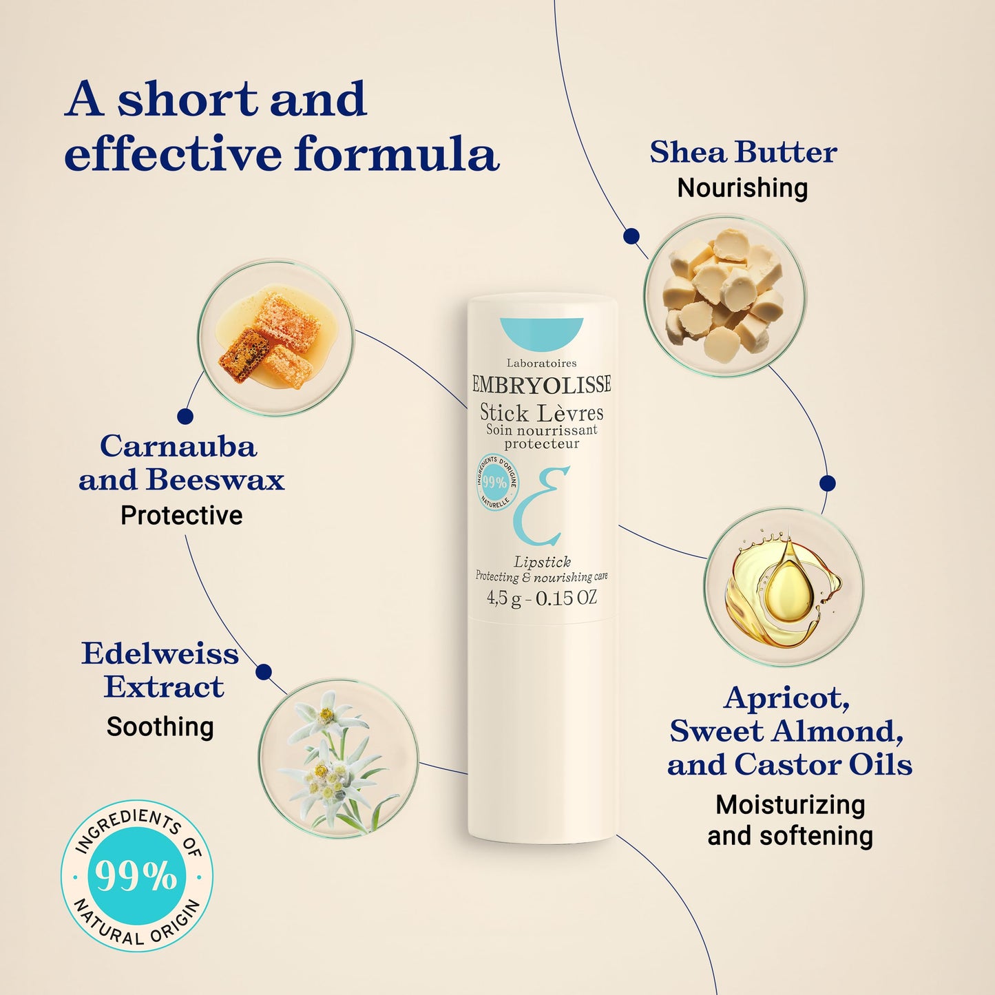 Embryolisse Protective Repair Lip Balm. Shea Butter Care for Hydration and Protection of Chapped and Dry Lips, 0.15 oz. Beauty & Personal Care Embryolisse