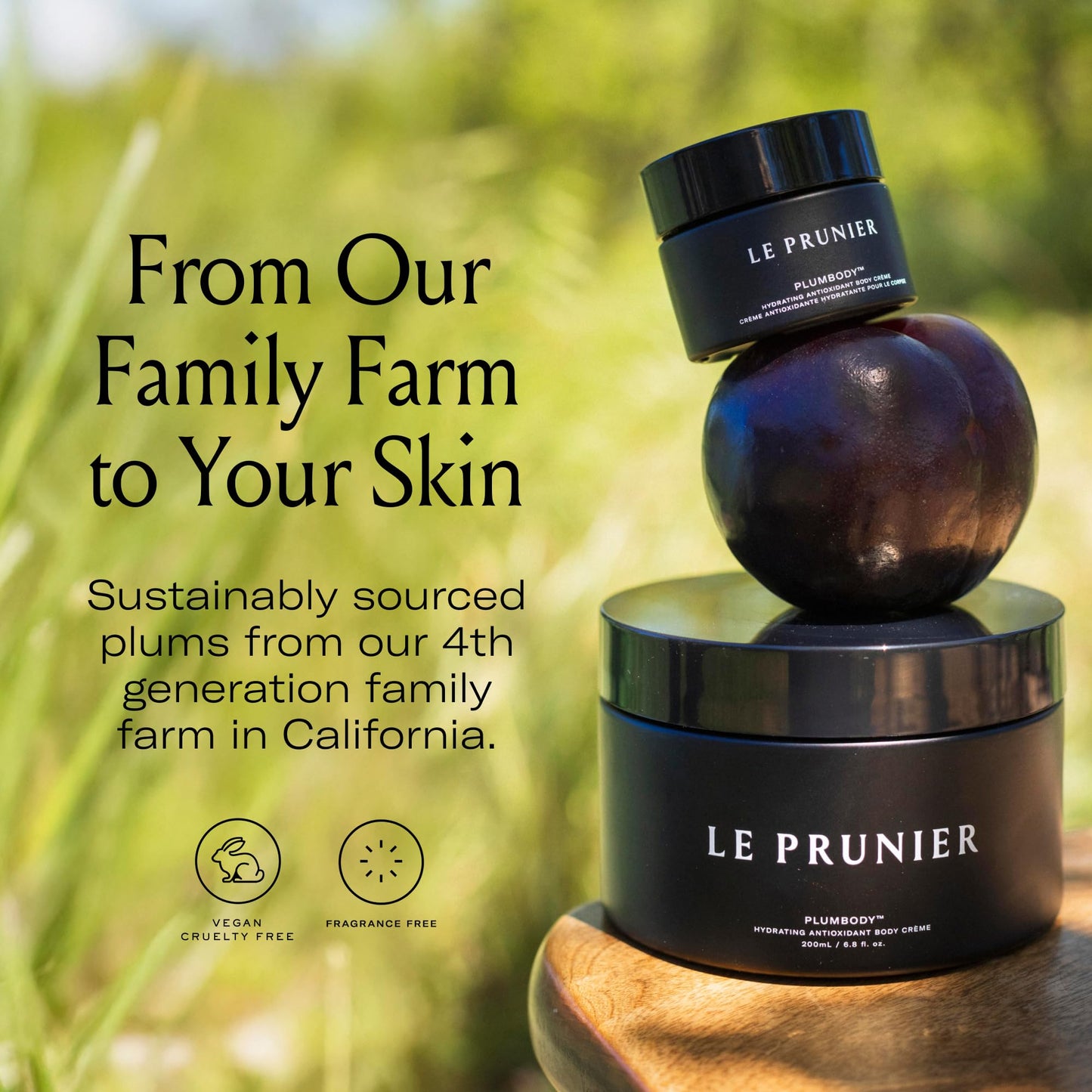 Le Prunier Plumbody™ - Clinically Proven Firming & Hydrating Body Cream with Midnight Muir® Plum Extract | Clean Vegan Antioxidant Body Lotion Beauty & Personal Care Le Prunier