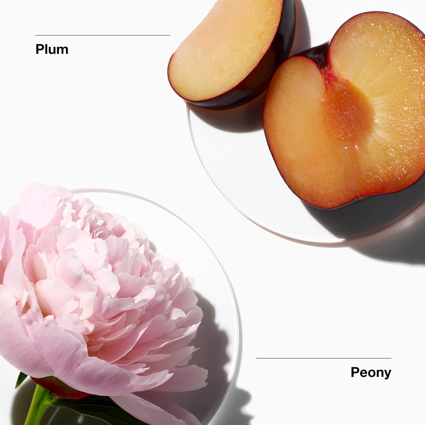 Clinique My Happy Fragrance Spray, Peony Picnic | Notes of Peonies + Succulent Plum | Perfumes for Women, Mini Travel Size, 0.5 Fl Oz Beauty & Personal Care Clinique
