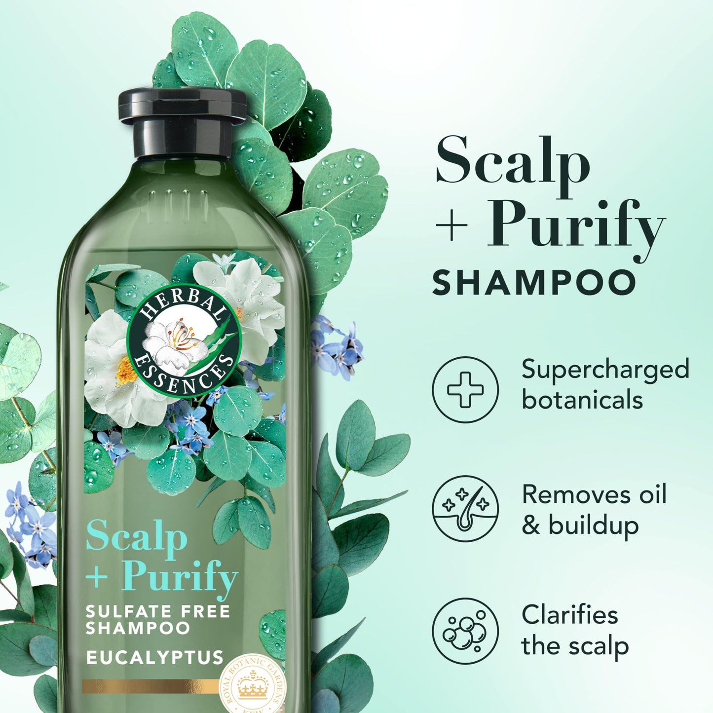 Herbal Essences Scalp + Purify Eucalyptus Sulfate Free Shampoo and Conditioner, and All-in-One Nourishing Spray Set Beauty & Personal Care Herbal Essences