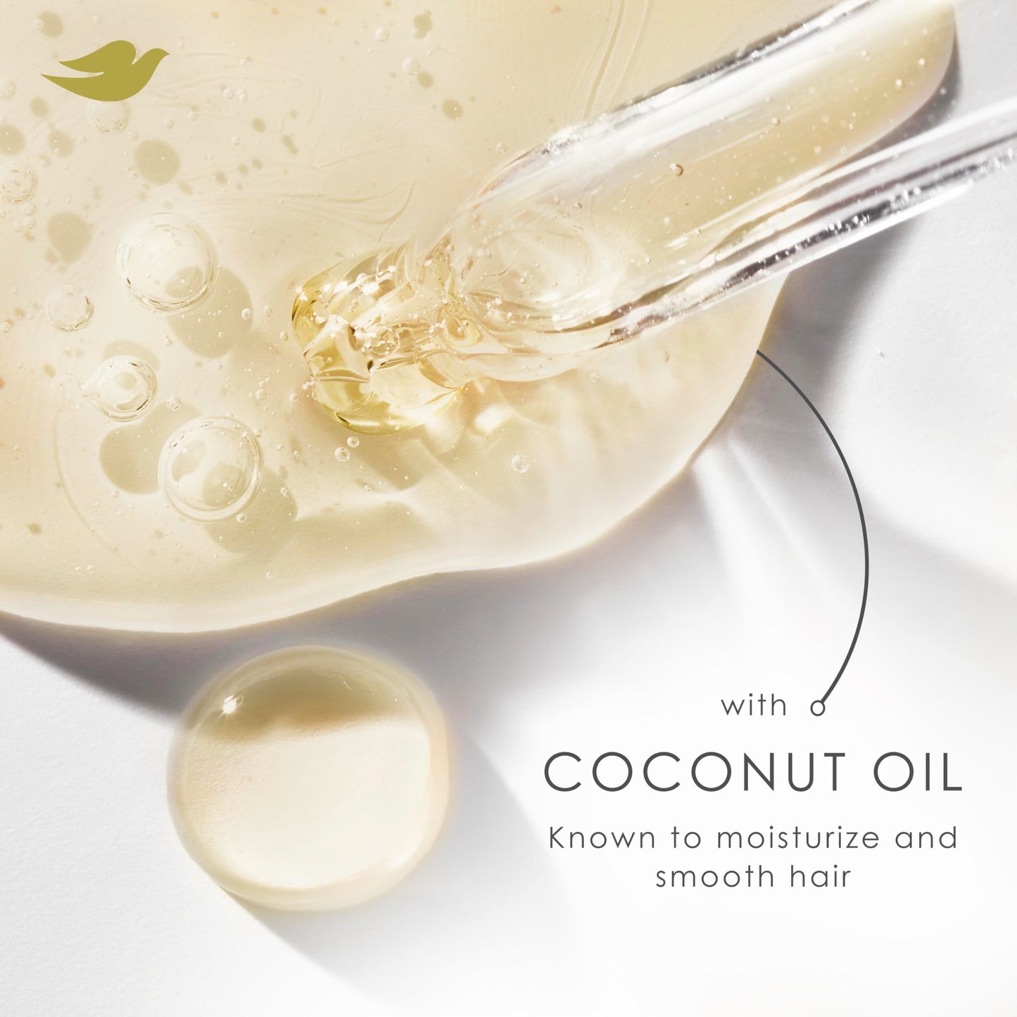 Dove Shampoo and Conditioner Coconut & Hydration 2 Count for Dry Hair with Bio-Protein Care Technology and Coconut Oil 12 Fl Oz Beauty & Personal Care Dove