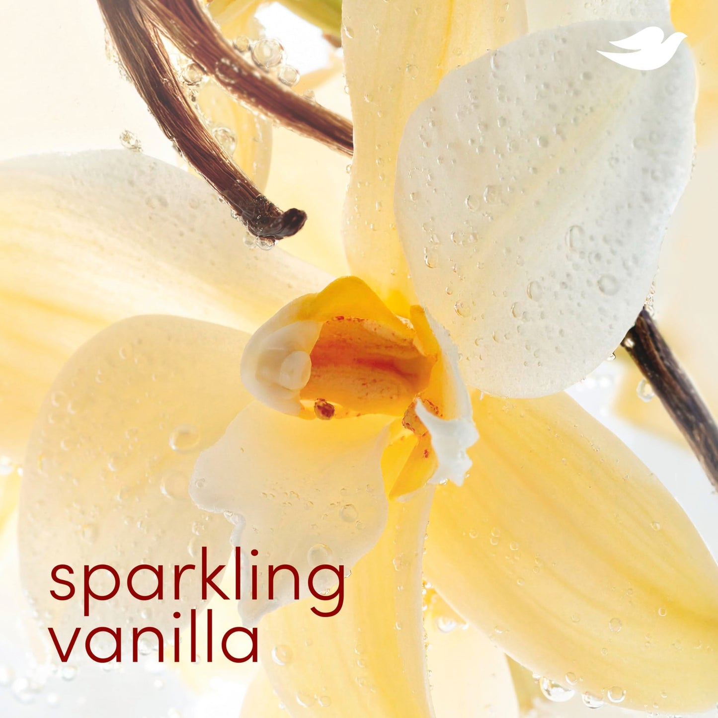 Dove Deodorant Stick Sparkling Vanilla for 72 Hour Odor Protection Aluminum Free 2.4 oz Beauty and Personal Care Dove