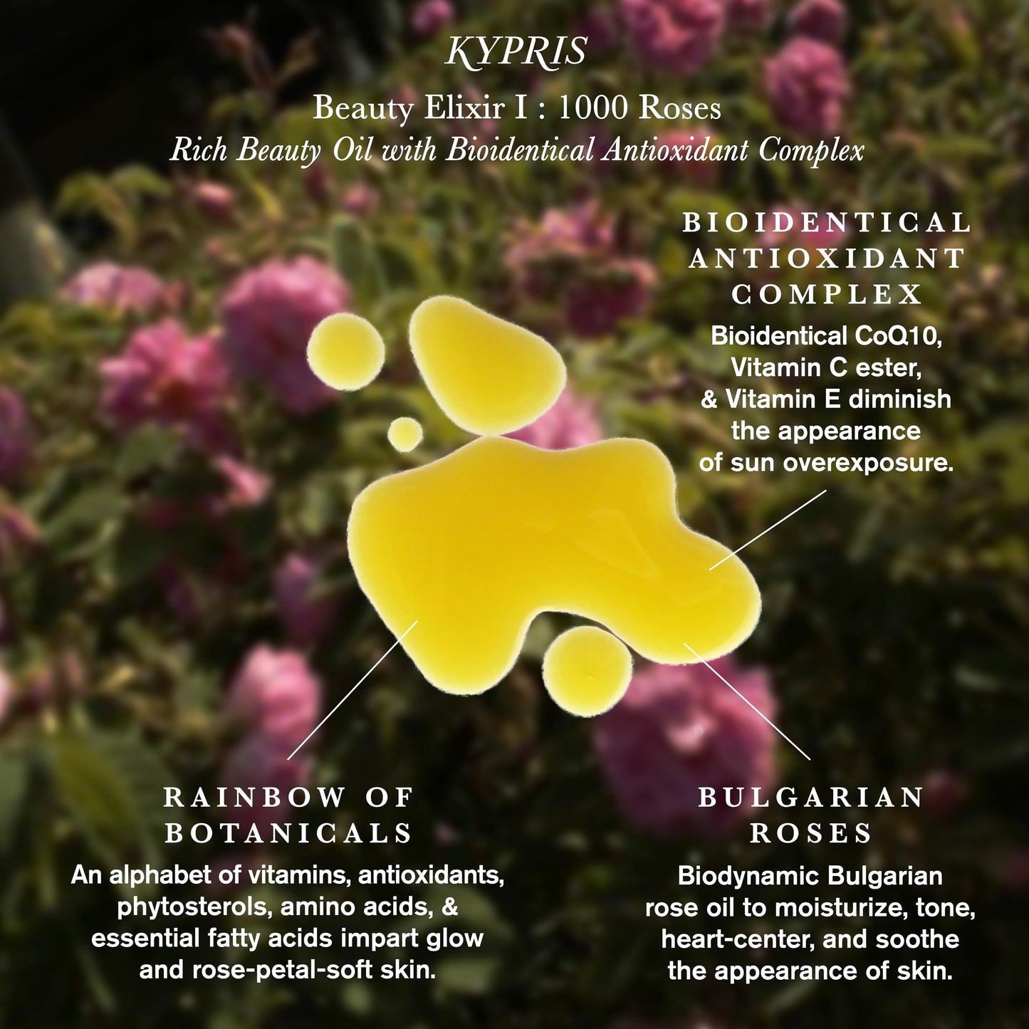 KYPRIS, Beauty Elixir I: 1,000 Roses Rich Moisturizing Face Oil, Bioidentical Antioxidant Complex w/ CoQ10 & Vitamin C Ester THD Rose (0.47 fl oz… Beauty & Personal Care KYPRIS