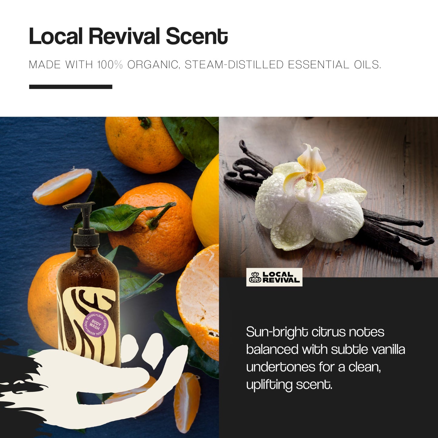 Local Revival Tallow and Honey Body Wash - Signature Blend - Beef Tallow with Honey, Olive Oil, Shea Butter and Jojoba Oil - Moisturizing Body Wash Beauty & Personal Care Local Revival
