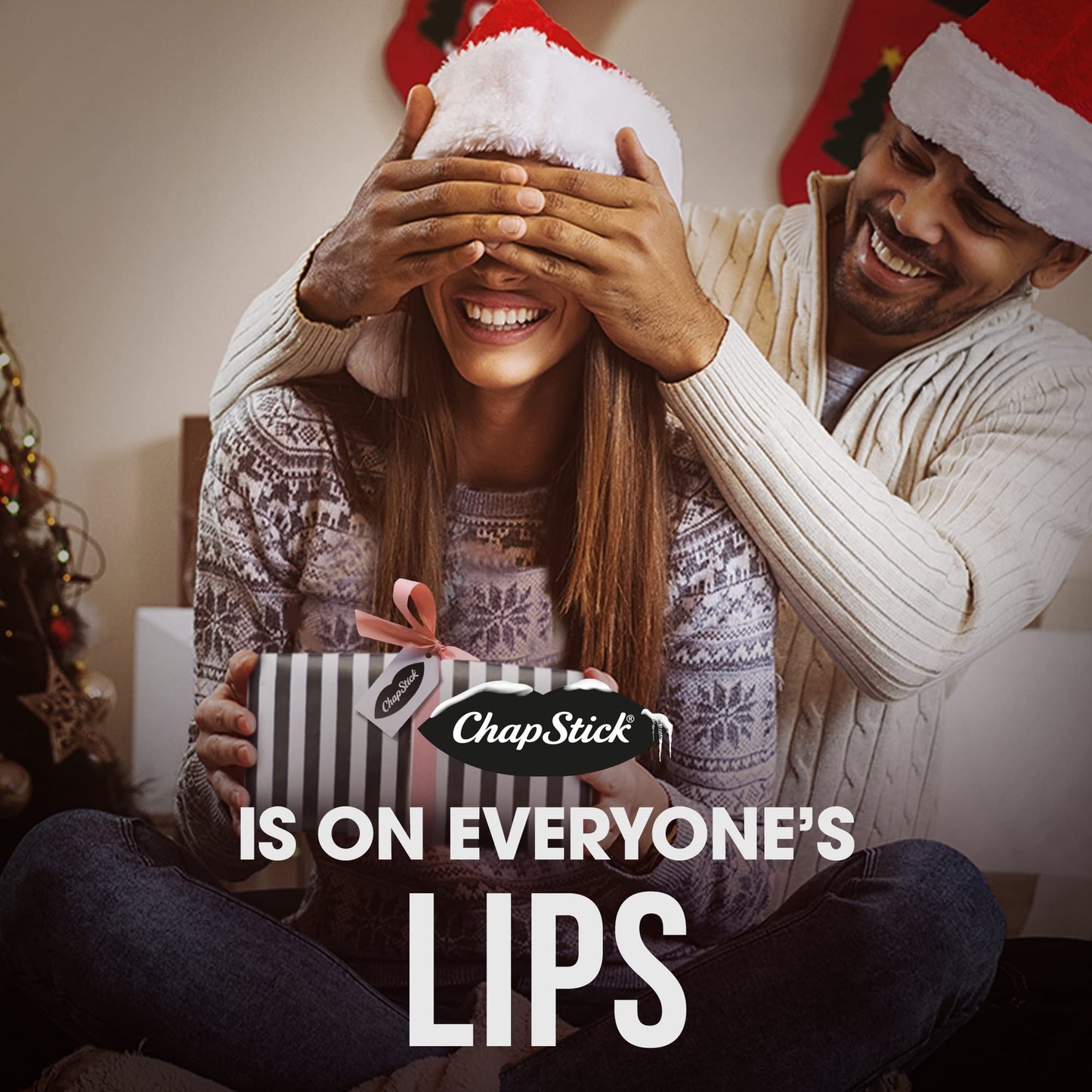 ChapStick Holiday Collection Holiday Lip Balm Variety Gift Box - 0.15 Oz (Pack of 5) Beauty & Personal Care ChapStick