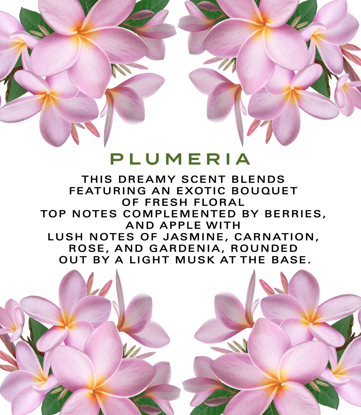 Botanical Beauty PLUMERIA WHIPPED BODY BUTTER with Shea Butter, Cocoa Butter, Coconut Oil for All Skin Types, for Dry, Sensitive Skin. Moisturizing Beauty & Personal Care Botanical Beauty