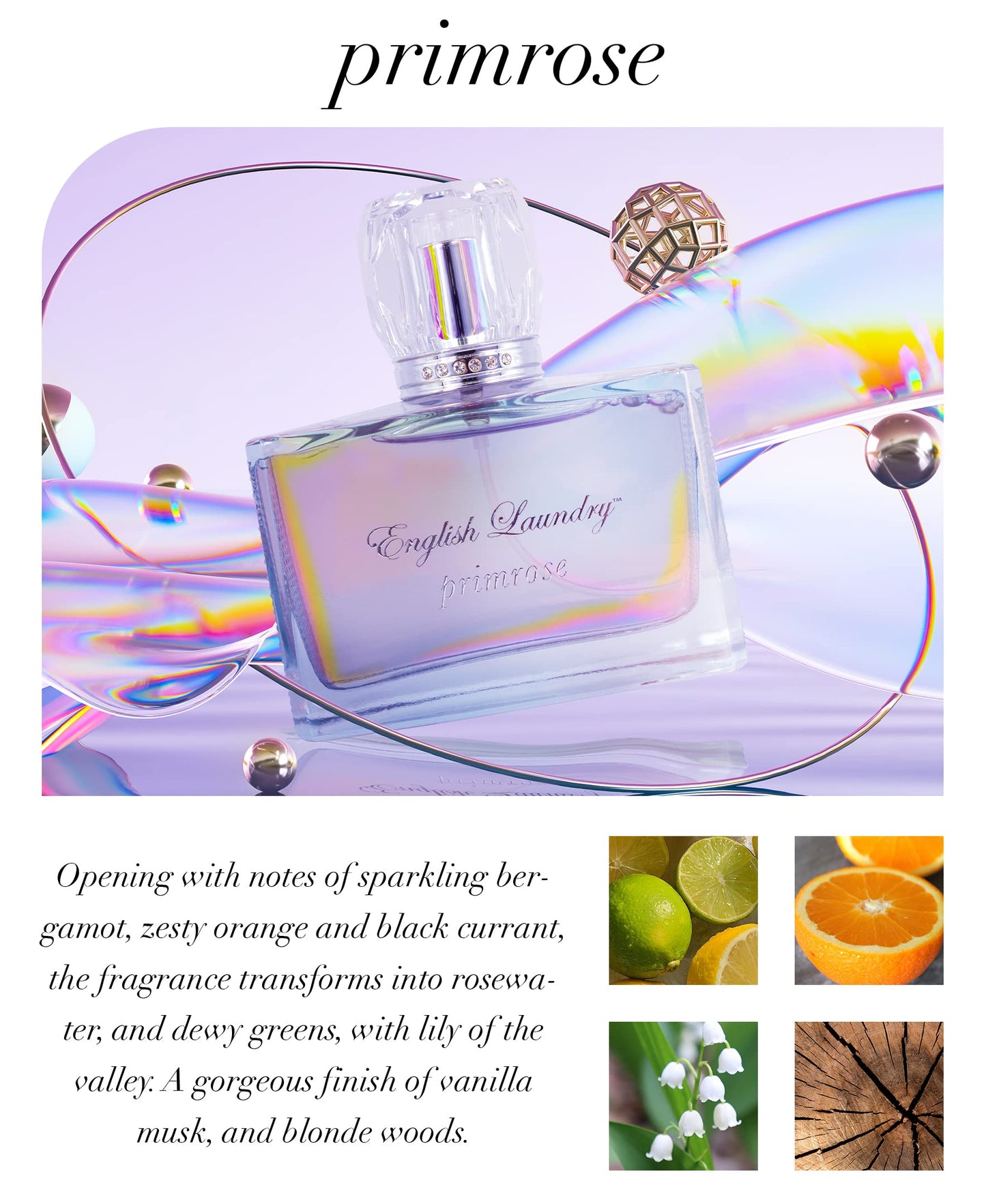 Primrose by English Laundry Eau De Parfum Spray, 3.4 fl. oz. for Women Beauty & Personal Care English Laundry