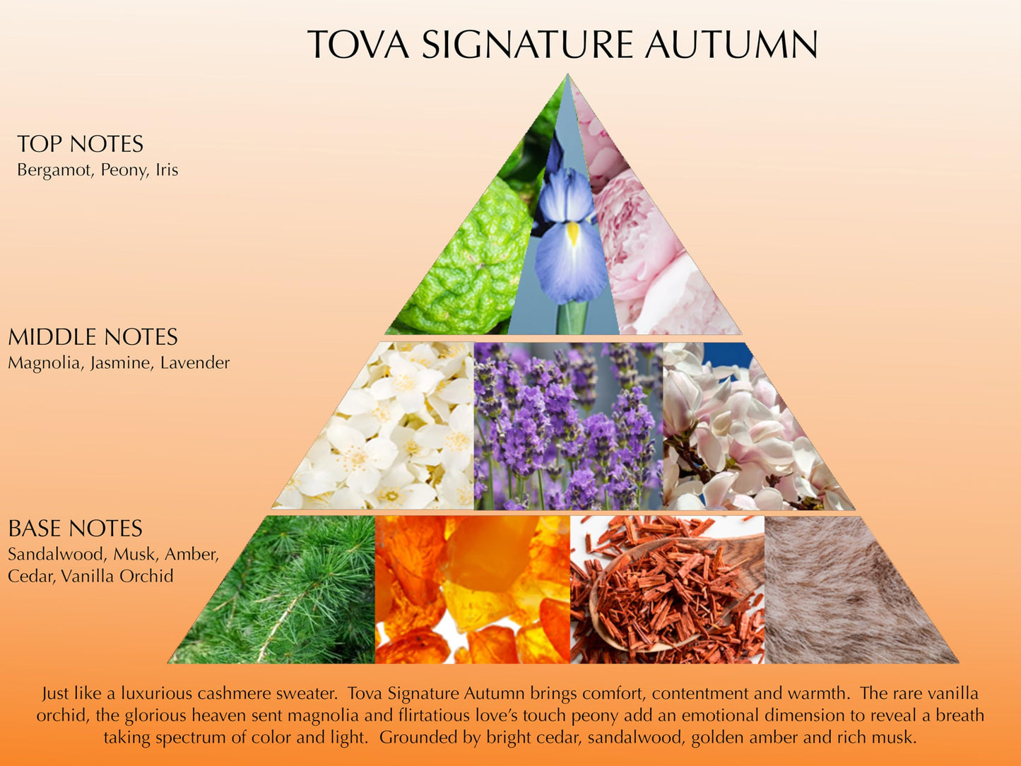 Tova Signature Autumn Eau de Parfum - Crisp Floral Amber Perfume for Women - Peony, Iris & Vanilla Orchid - USA-Made & Cruelty-Free - 3.4 fl oz Beauty & Personal Care Tova