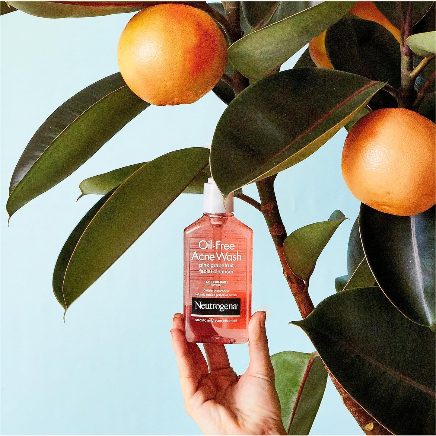 Neutrogena Oil-Free Acne Wash Face Cleanser, Pink Grapefruit 6 oz (5 Pack) Beauty & Personal Care Neutrogena