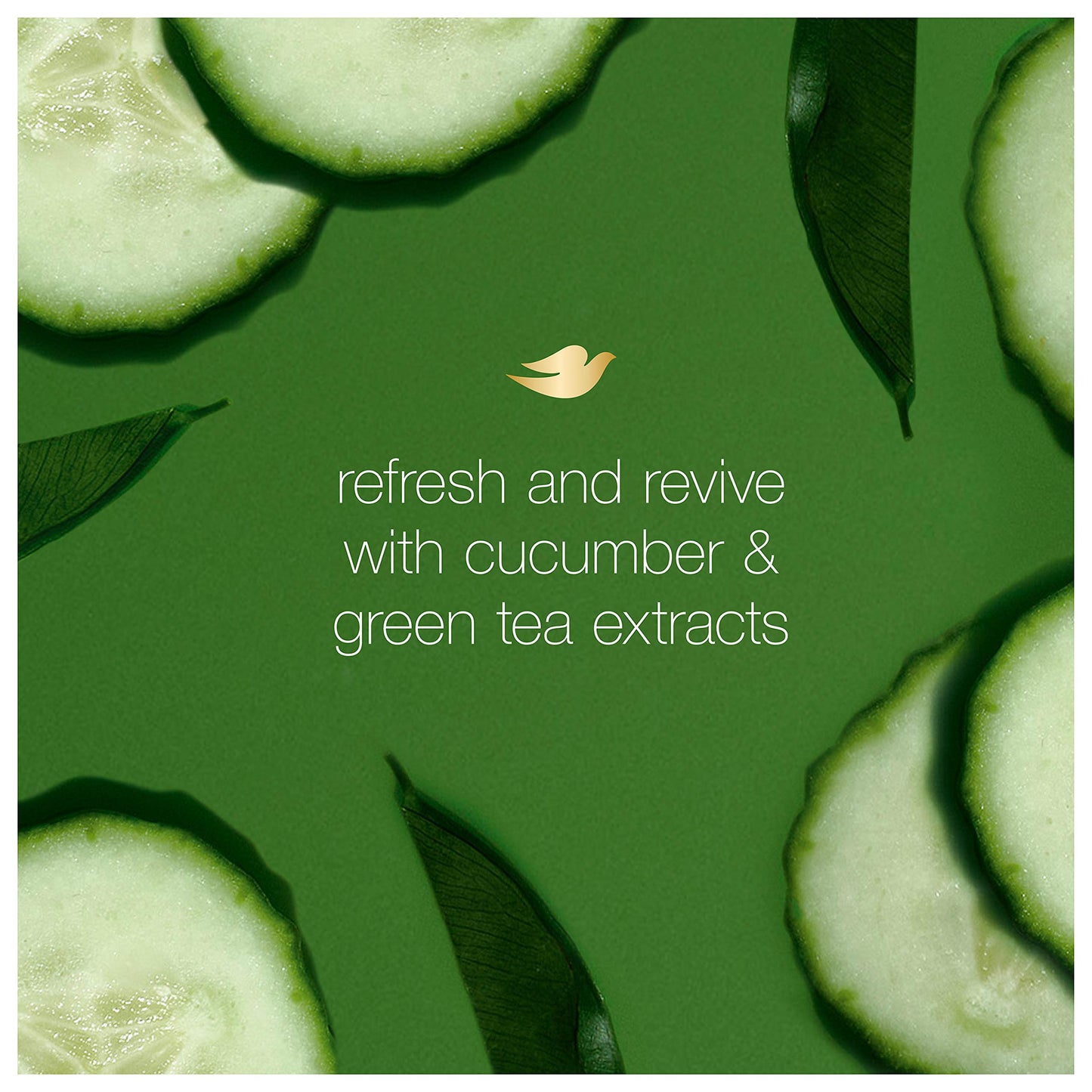 Dove Refreshing Body Wash Revitalizes and Refreshes Skin Cucumber and Green Tea Effectively Washes Away Bacteria While Nourishing Your Skin 22 oz 2 Beauty & Personal Care Dove