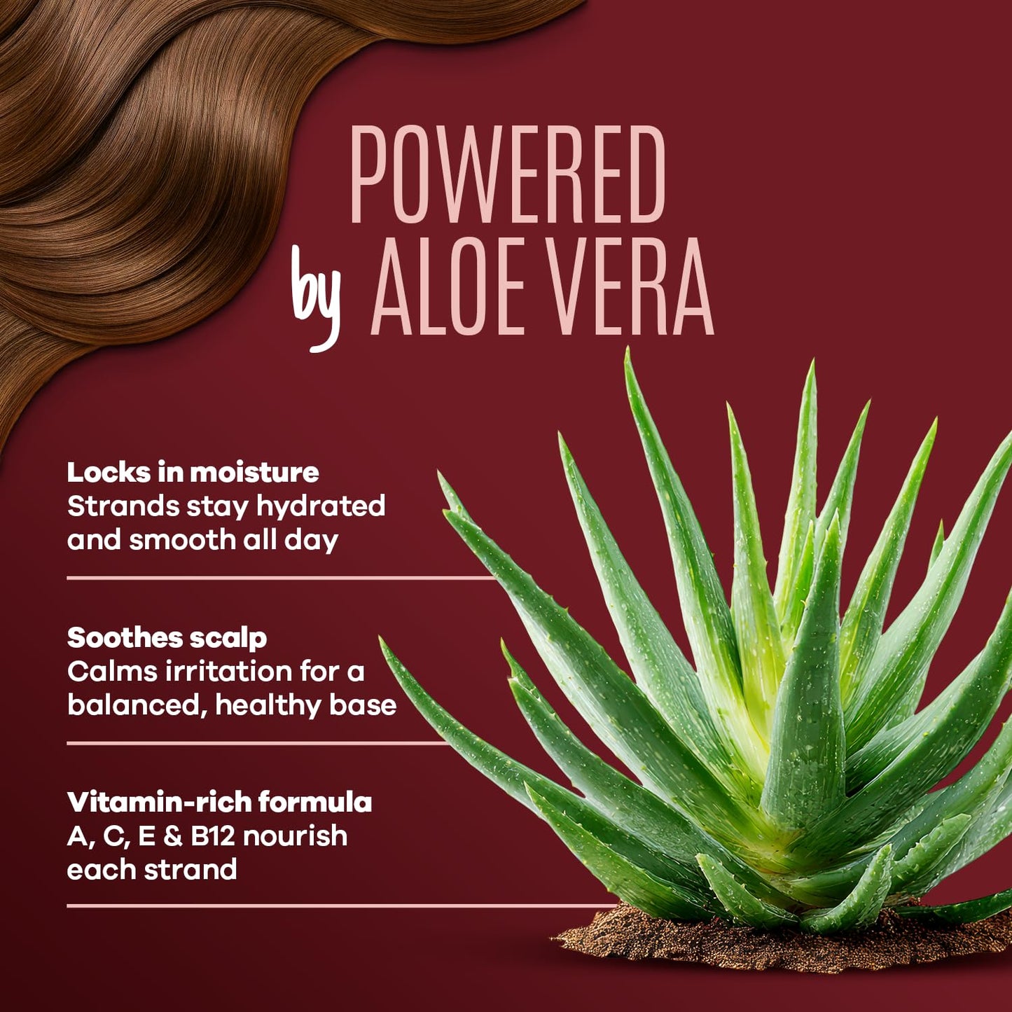 Ravenna Aloe Vera Shampoo & Conditioner Set - Paraben-Free, Deep Moisture, Breakage Reduction for Dry, Damaged & All Hair Types, 2×300ml (10.1 fl oz Beauty & Personal Care I Belli Capelli