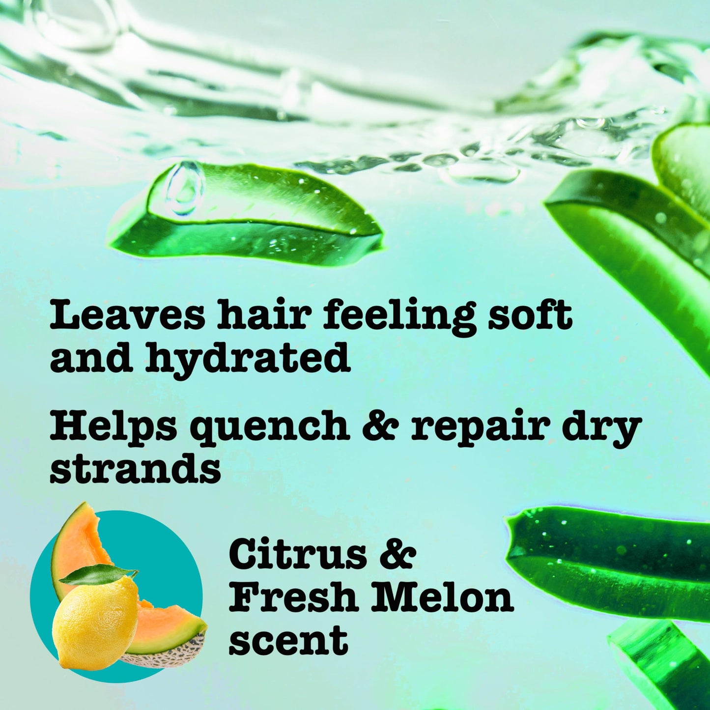 Maui Moisture Heal & Hydrate + Shea Butter Conditioner to Repair & Deeply Moisturize Tight Curly Hair with Coconut & Macademia Oils, Vegan, Silicone Beauty & Personal Care Maui Moisture
