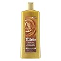 Caress Exfoliating Body Wash for Everyday Use Shea Butter & Brown Sugar 18 oz (Pack of 3) Beauty & Personal Care Caress