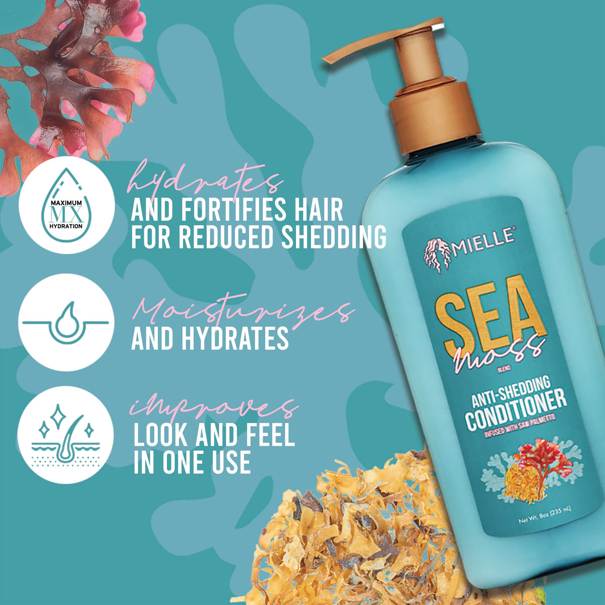 Mielle Organics Sea Moss Anti-Shedding Hair Conditioner - Hydrating Conditioner for Dry Hair - Fortifies Strands for Reduced Shedding - Improves Look
