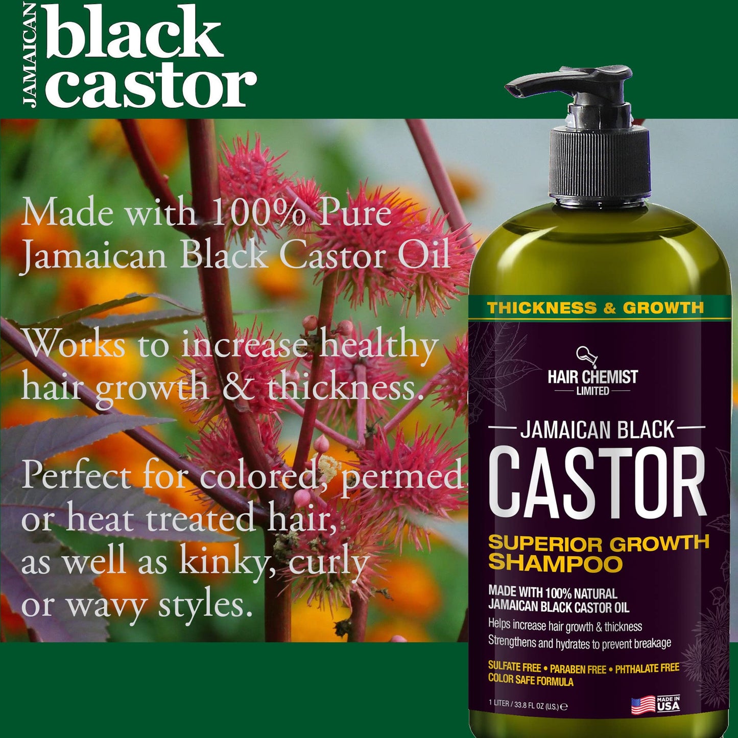 Hair Chemist 2-PC Shampoo & Conditioner Gift Box - Jamaican Black Castor Oil for Hair Growth & Thickness - Sulfate Free, Paraben Free & Phthalate Free Beauty & Personal Care Hair Chemist