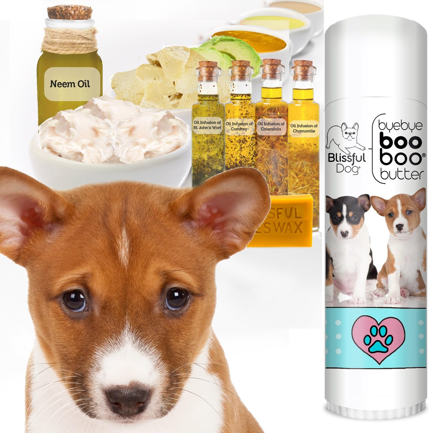 The Blissful Dog Basenji Boo Boo Butter, 0.50-Ounce Beauty and Personal Care The Blissful Dog